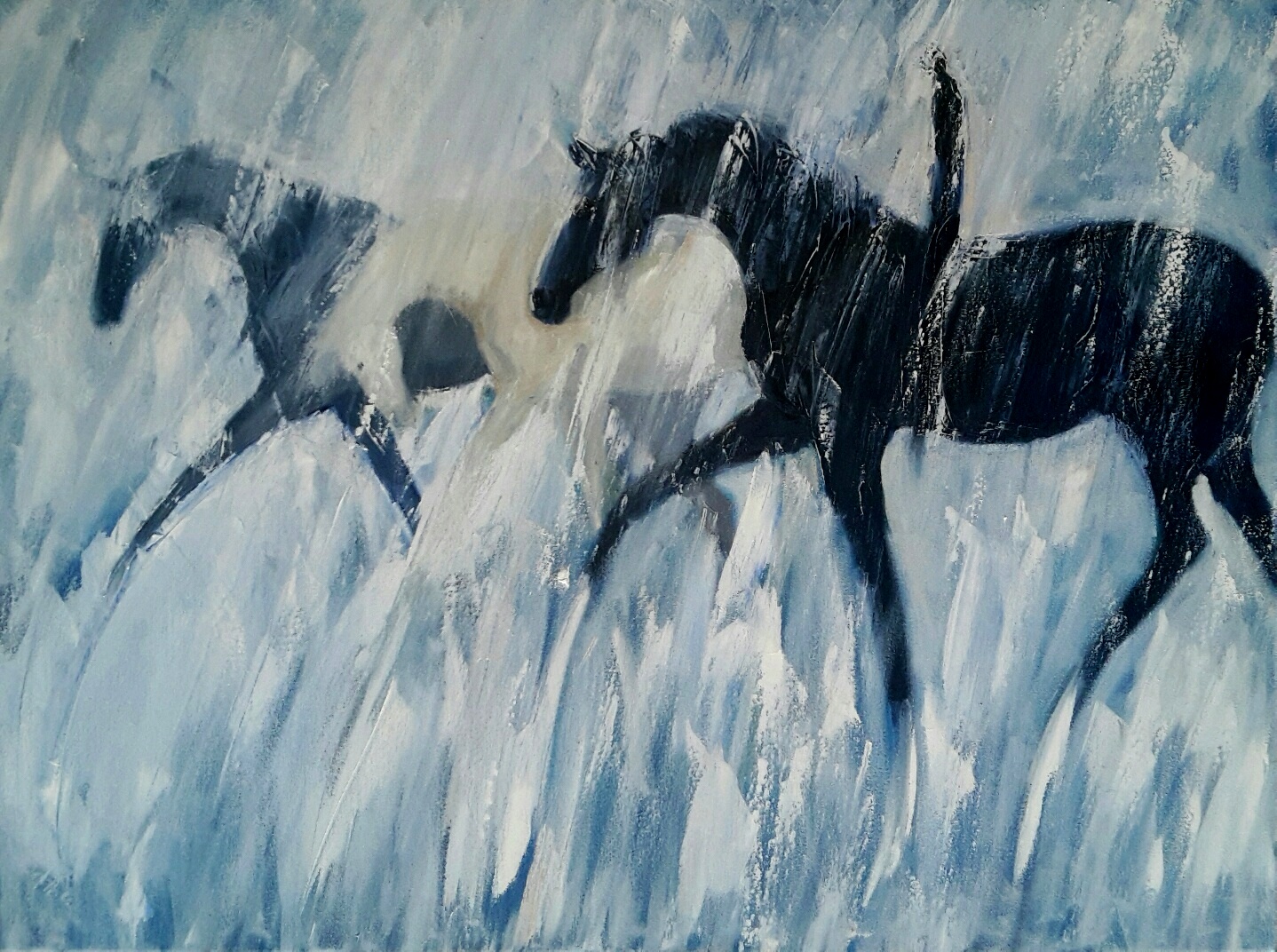 Riding out the Storm